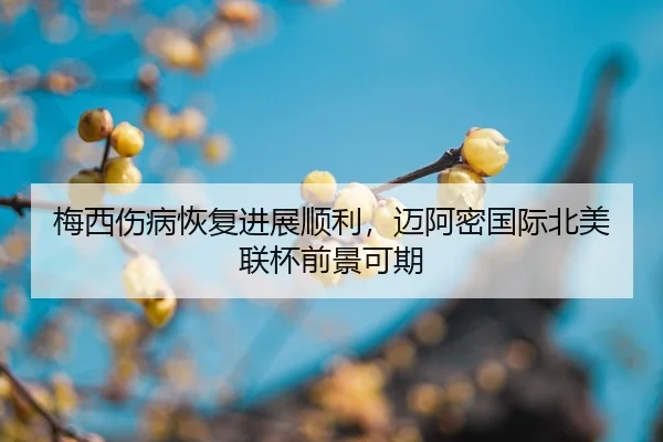 mei-xi-shang-bing-hui-fu-jin-zhan-shun-li-mai-a-mi-guo-ji-bei-mei-lian-bei-qian-jing-ke-qi-2-348.jpg