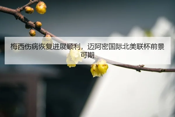 mei-xi-shang-bing-hui-fu-jin-zhan-shun-li-mai-a-mi-guo-ji-bei-mei-lian-bei-qian-jing-ke-qi-3-471.jpg