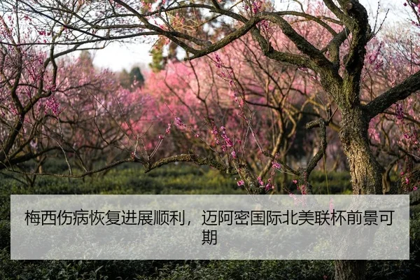 梅西伤病恢复进展顺利，迈阿密国际北美联杯前景可期