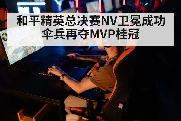 和平精英总决赛NV卫冕成功 伞兵再夺MVP桂冠